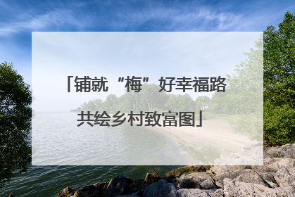 铺就“梅”好幸福路 共绘乡村致富图